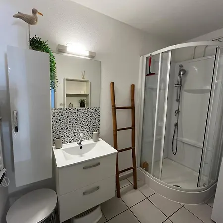 4 Etoiles, Avec Jardin Cloture Et Piscine Dans La - - Linge Inclus Apartament *