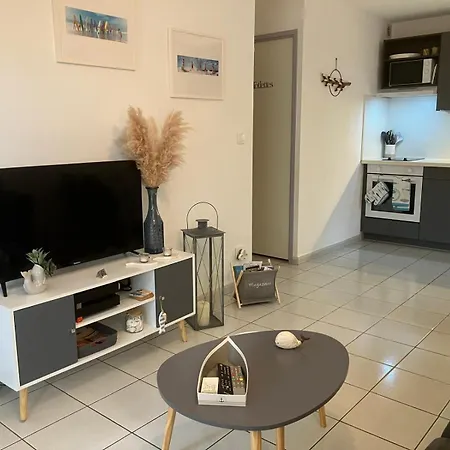 4 Etoiles Avec Jardin Cloture Et Piscine Dans La - Apartment Narbonne