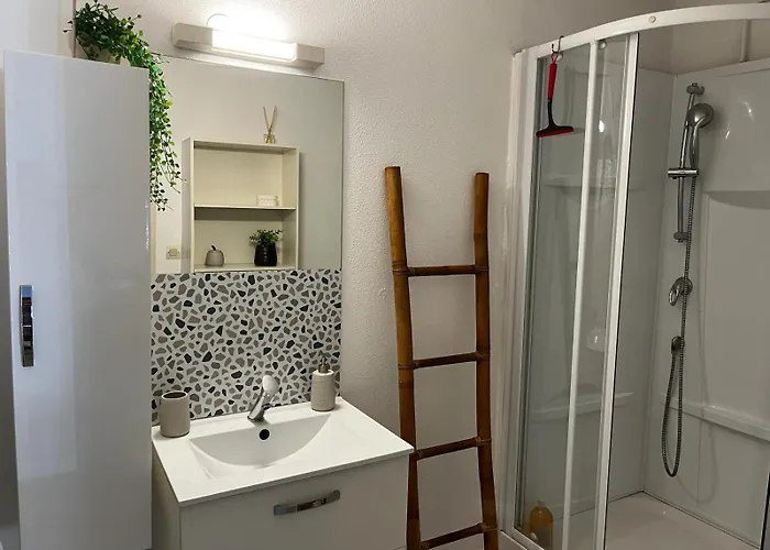 アパート 4 Etoiles Avec Jardin Cloture Et Piscine Dans La - *