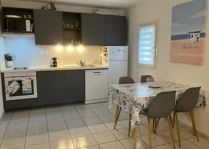 아파트 4 Etoiles Avec Jardin Cloture Et Piscine Dans La - 나르본